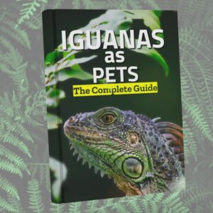 iguanas as pets: the complete guide - product photo